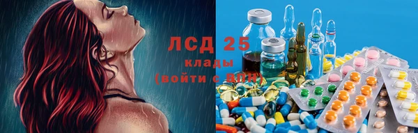 прущий лед Алзамай