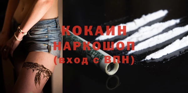 прущий лед Алзамай